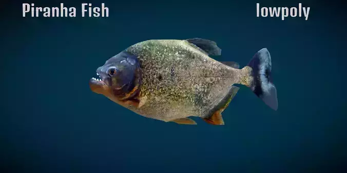 Piranha Fish 3D model