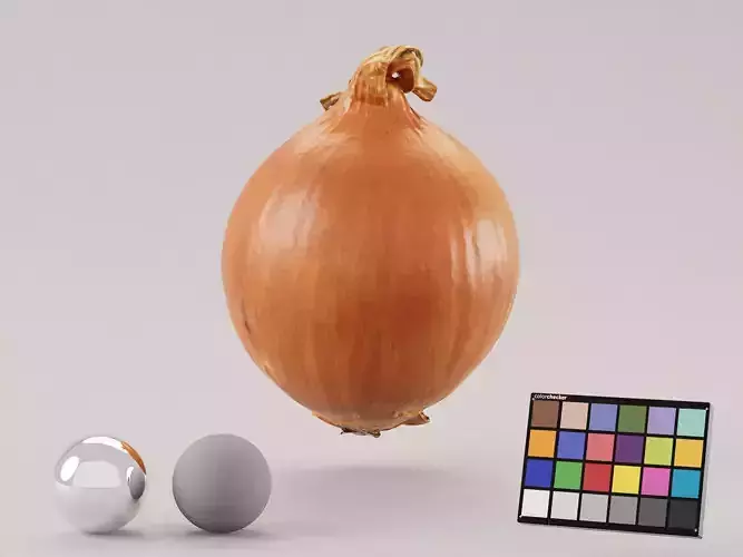 Yellow Onion Photoscan 3D model