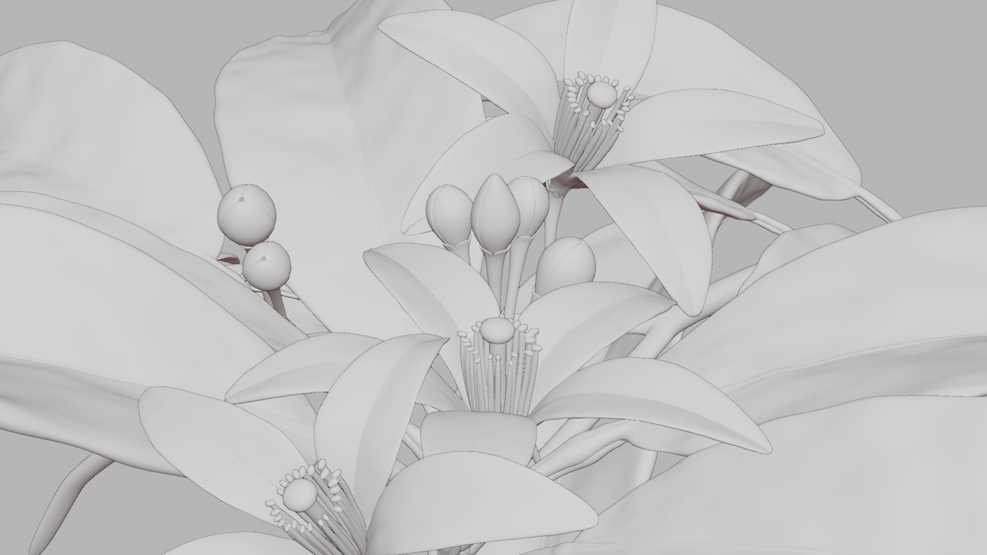 Neroli Orange Blossom 3D Model Low Poly Low-poly 3D model_7