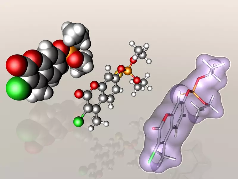Coumaphos molecule 3D model_0