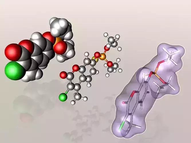 Coumaphos molecule 3D model