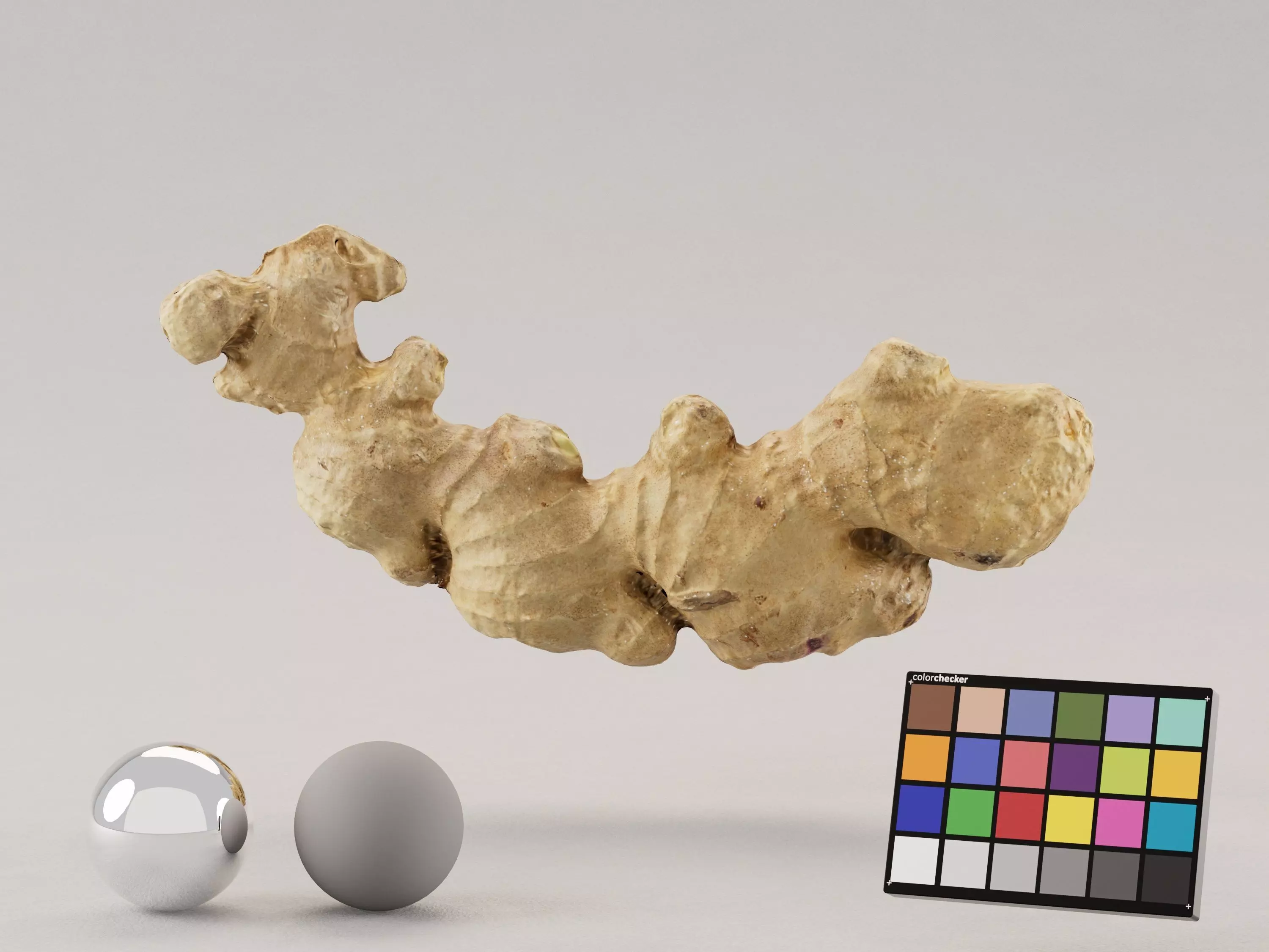 Ginger Photoscan 3D model