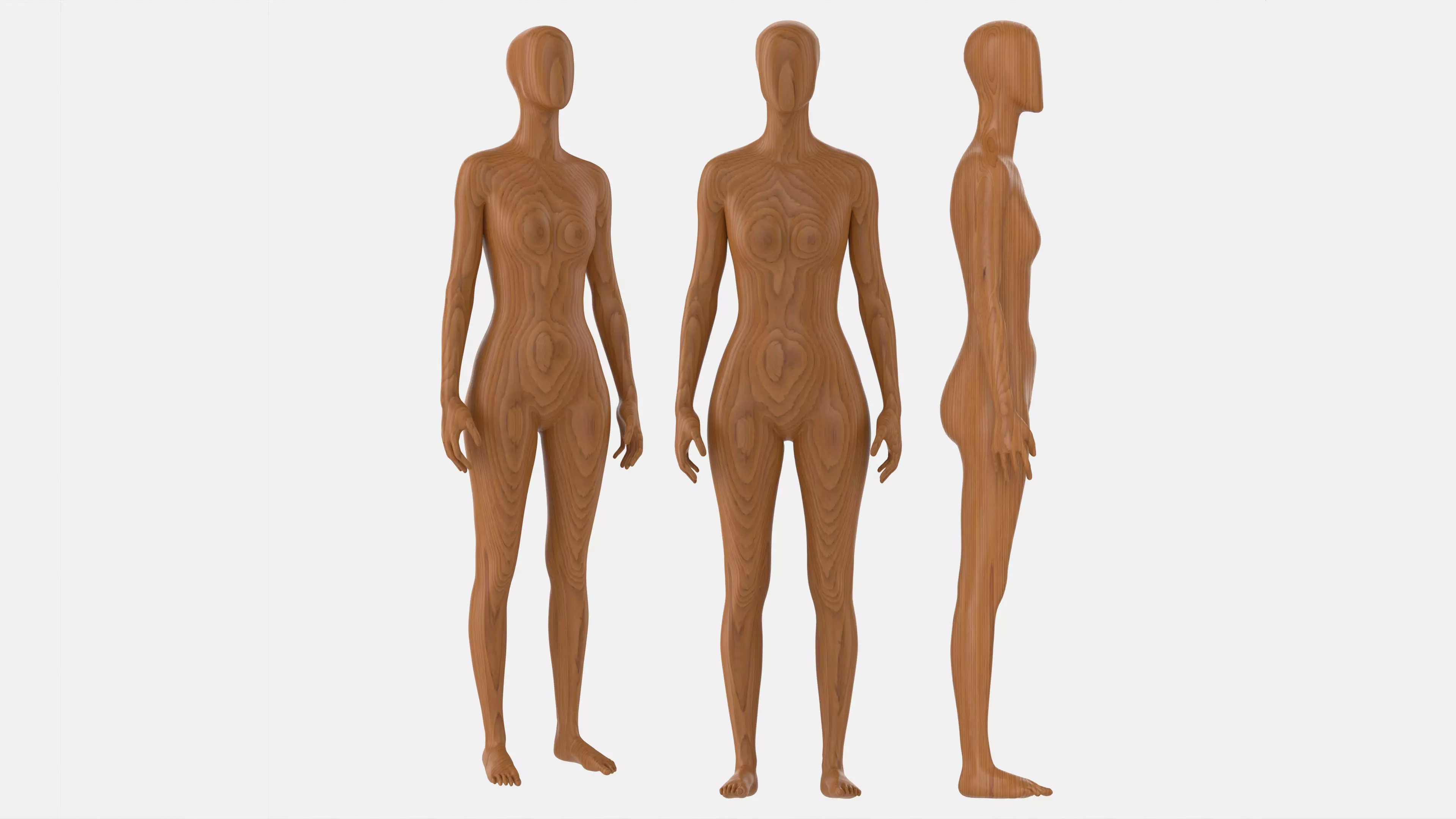 Female mannequin wooden full length 3D model_0
