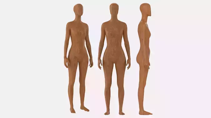 Female mannequin wooden full length 3D model