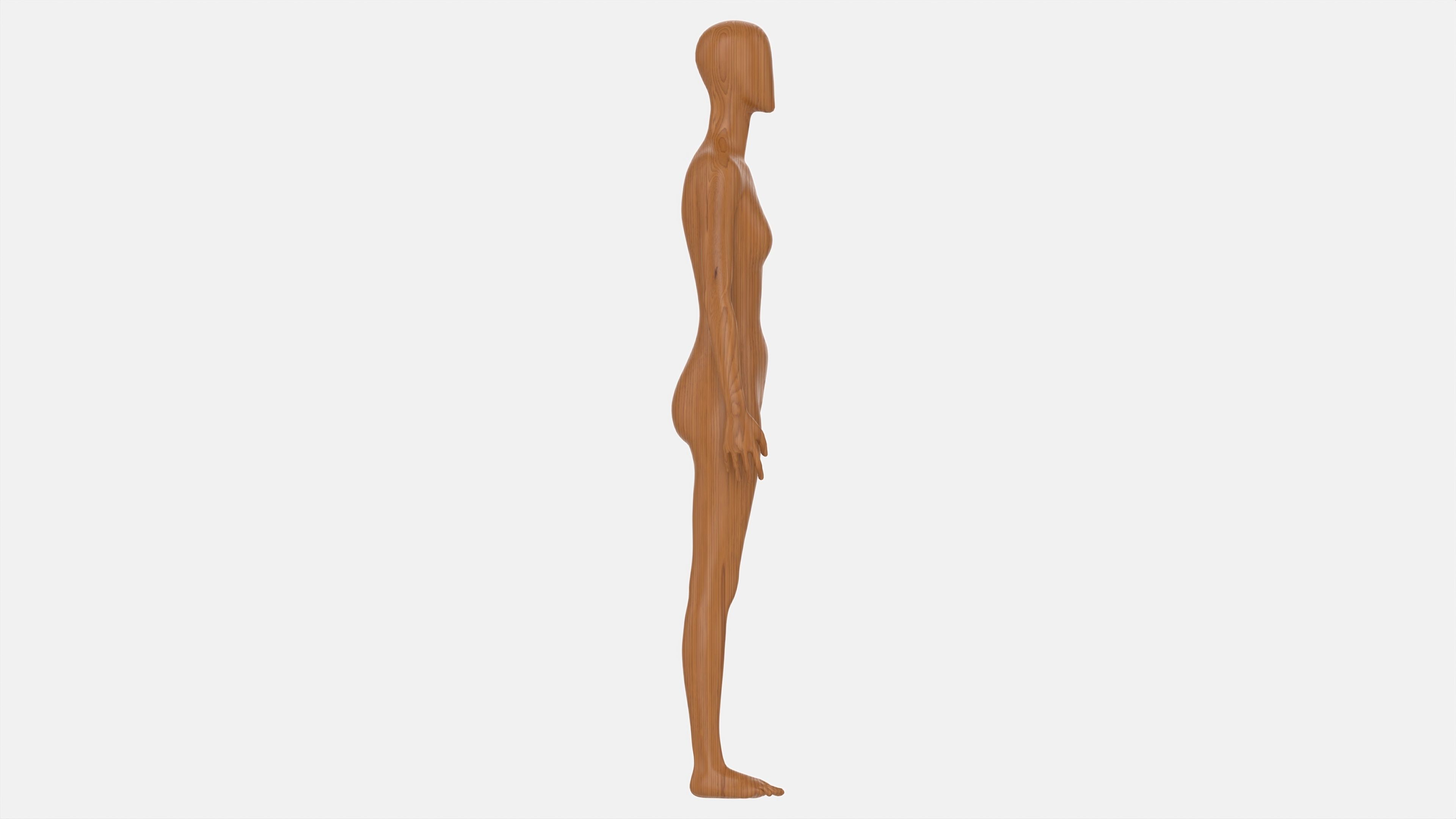 Female mannequin wooden full length 3D model_6