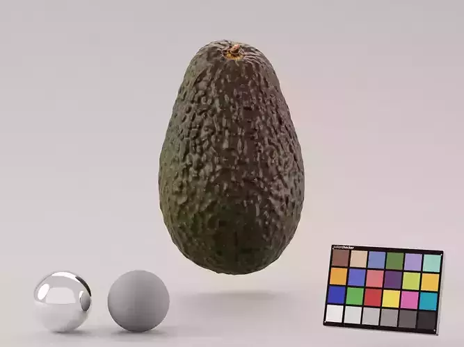 Avocado Photoscan