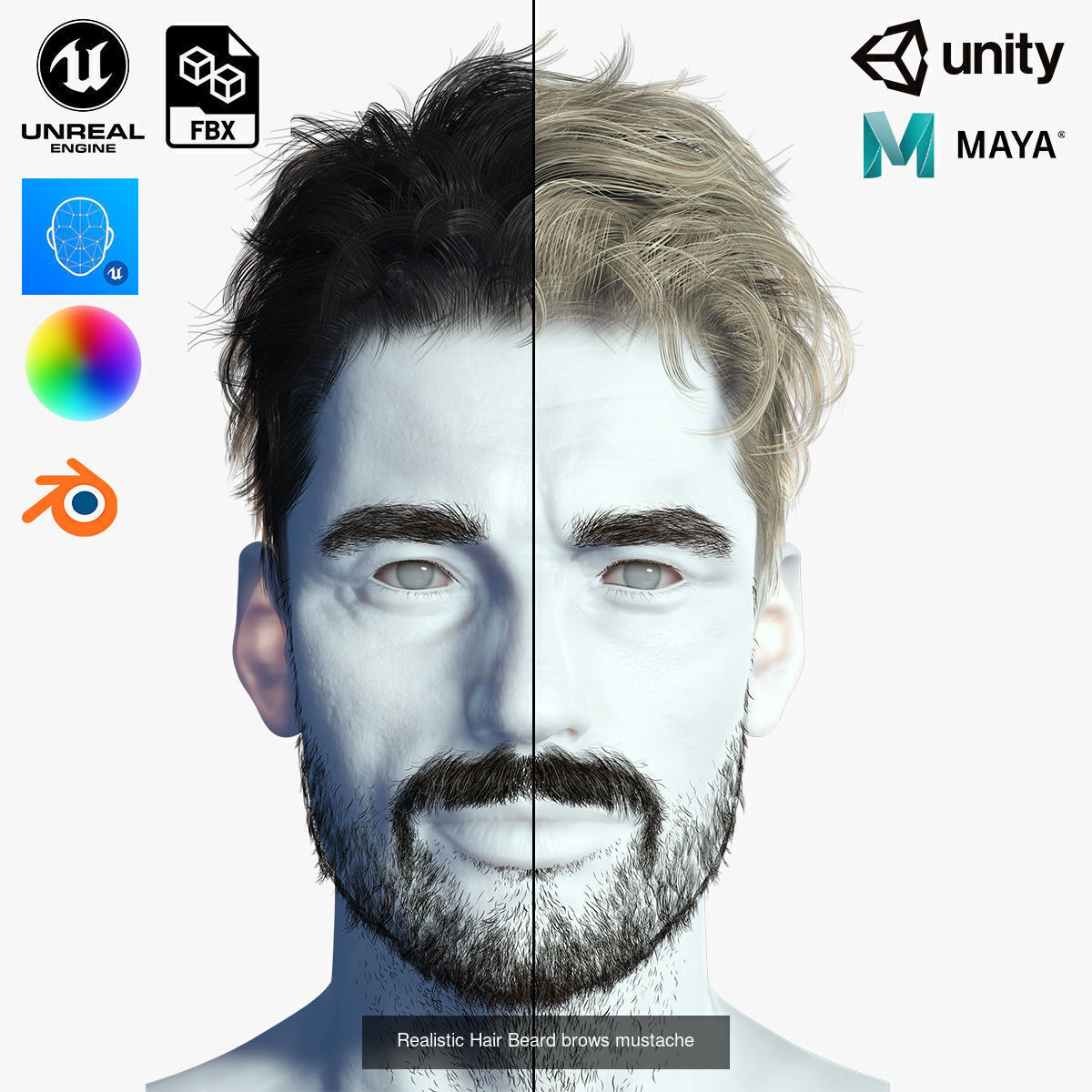 10 Male hair pack hair card Pack  1 3D Model Collection_9