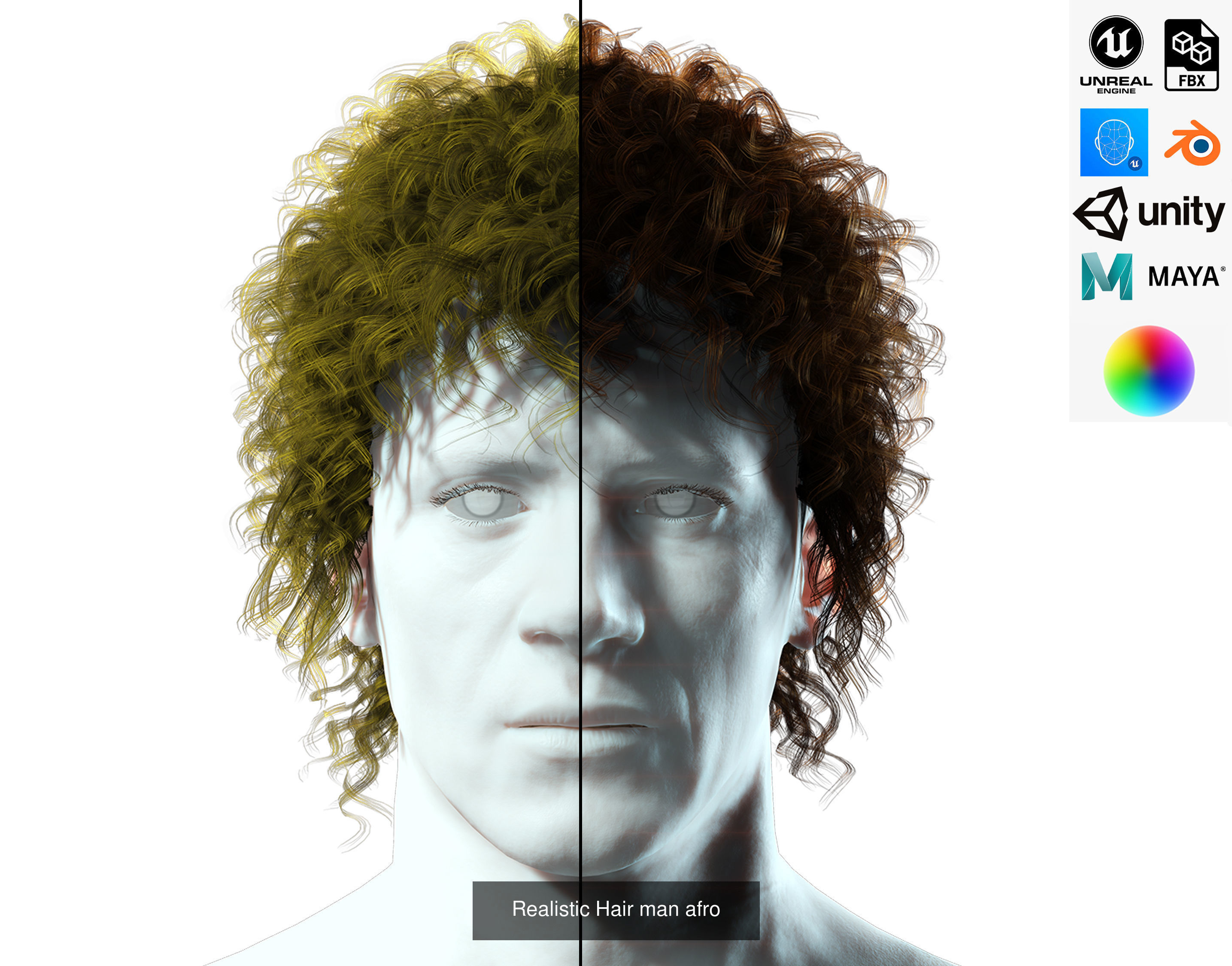 10 Male hair pack hair card Pack  2 3D Model Collection_7