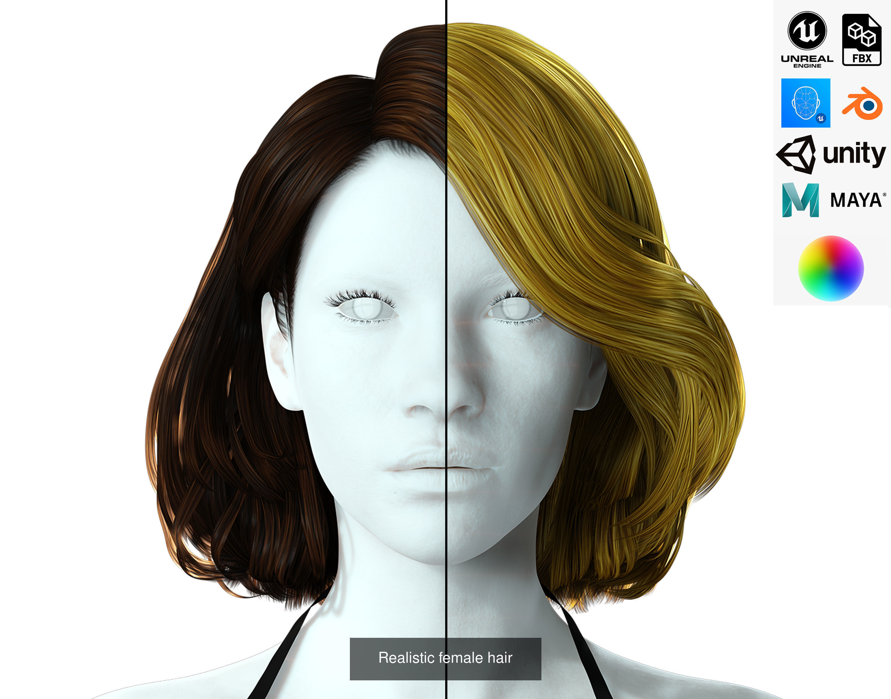 10 female hair pack hair card Pack 1 3D Model Collection_9