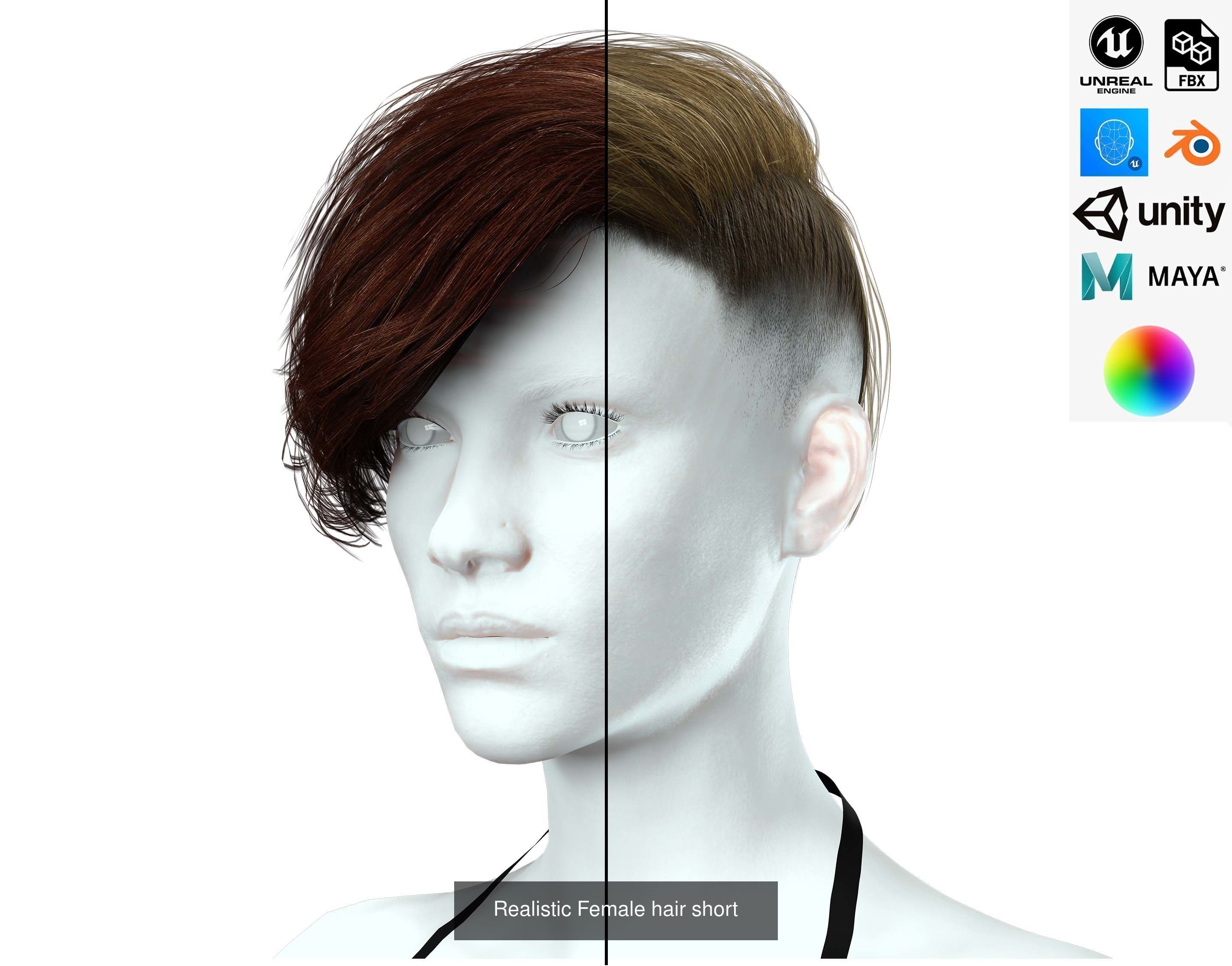 10 female hair pack hair card Pack 1 3D Model Collection_1