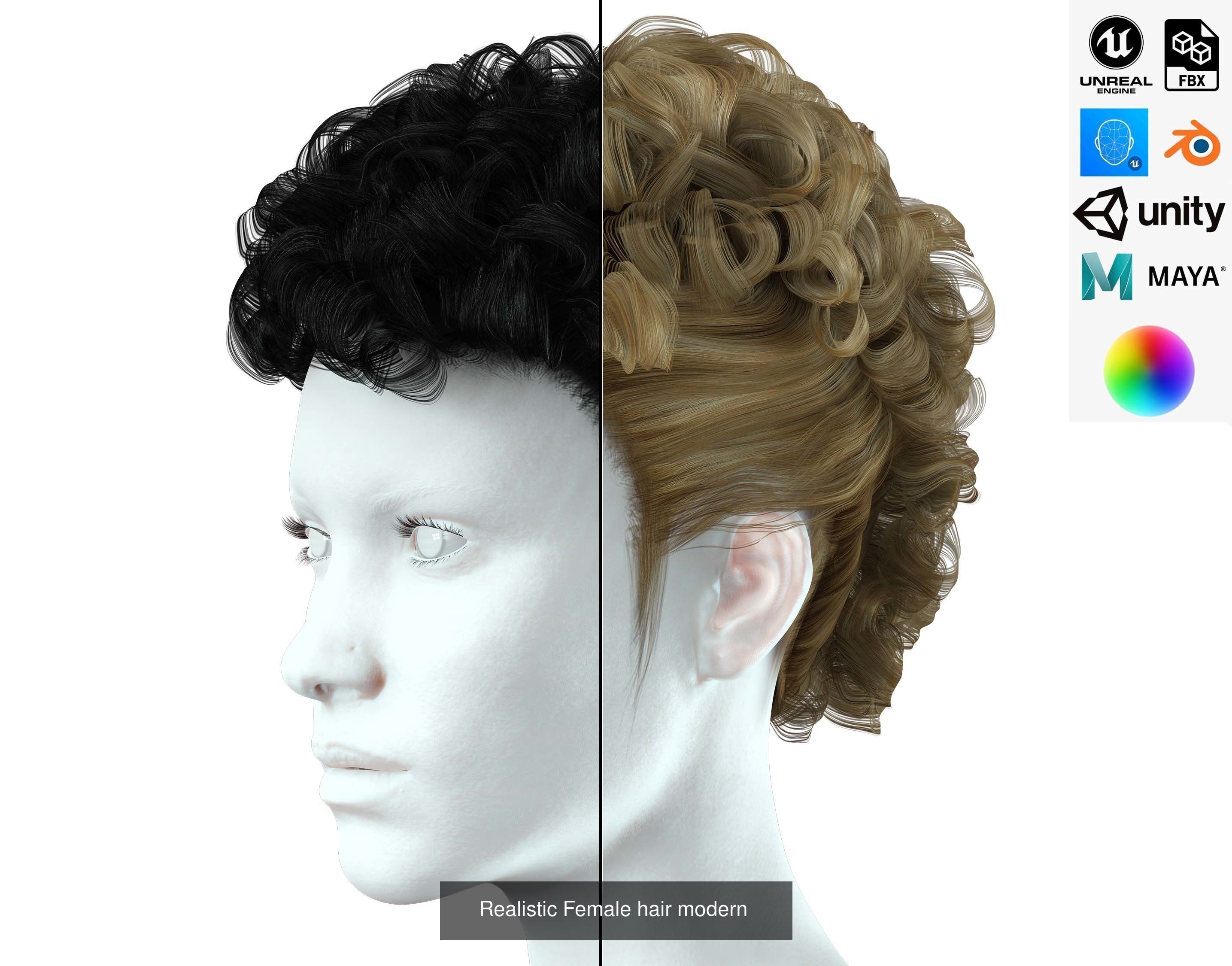 10 female hair pack hair card Pack 1 3D Model Collection_3