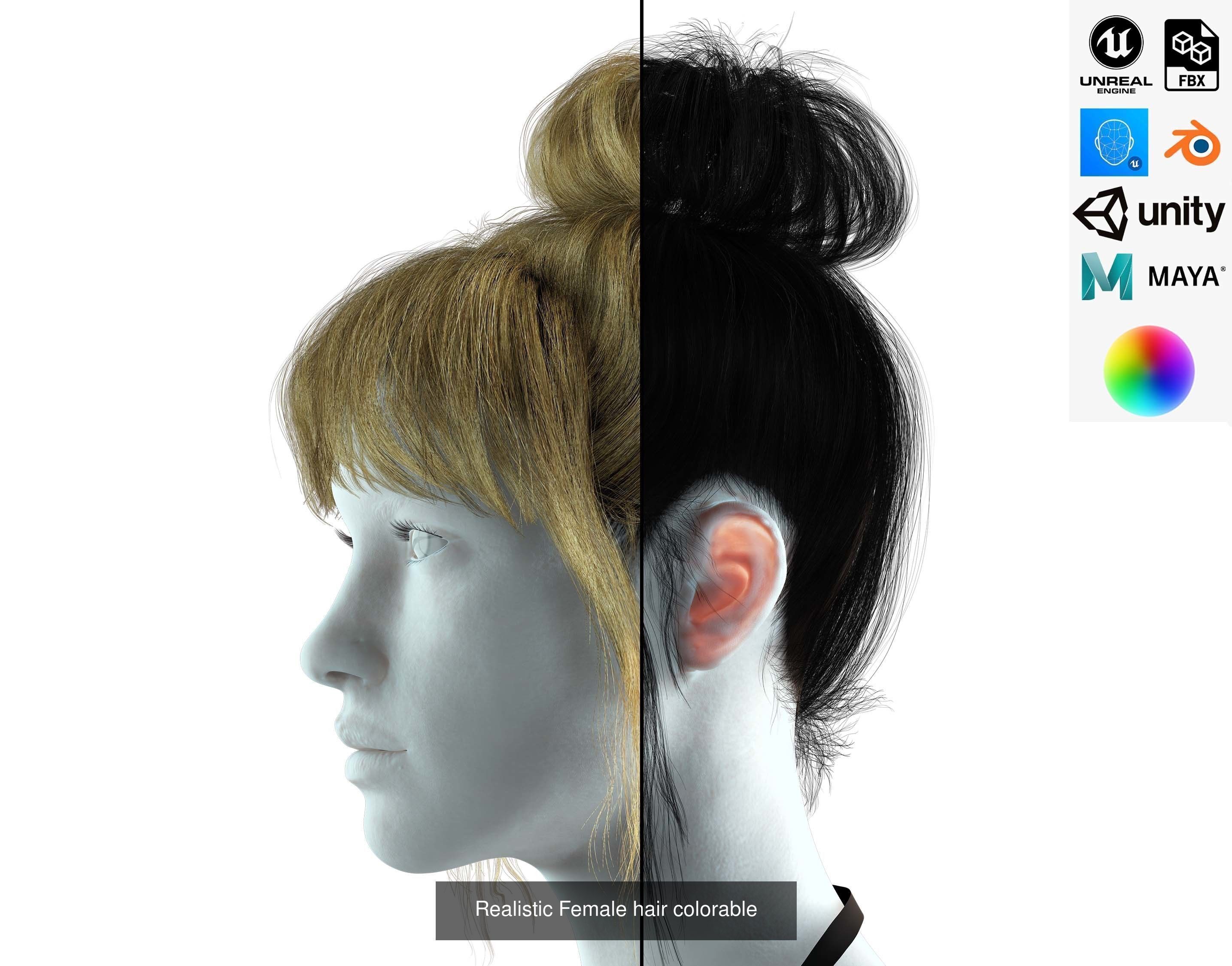 10 female hair pack hair card Pack 1 3D Model Collection_5