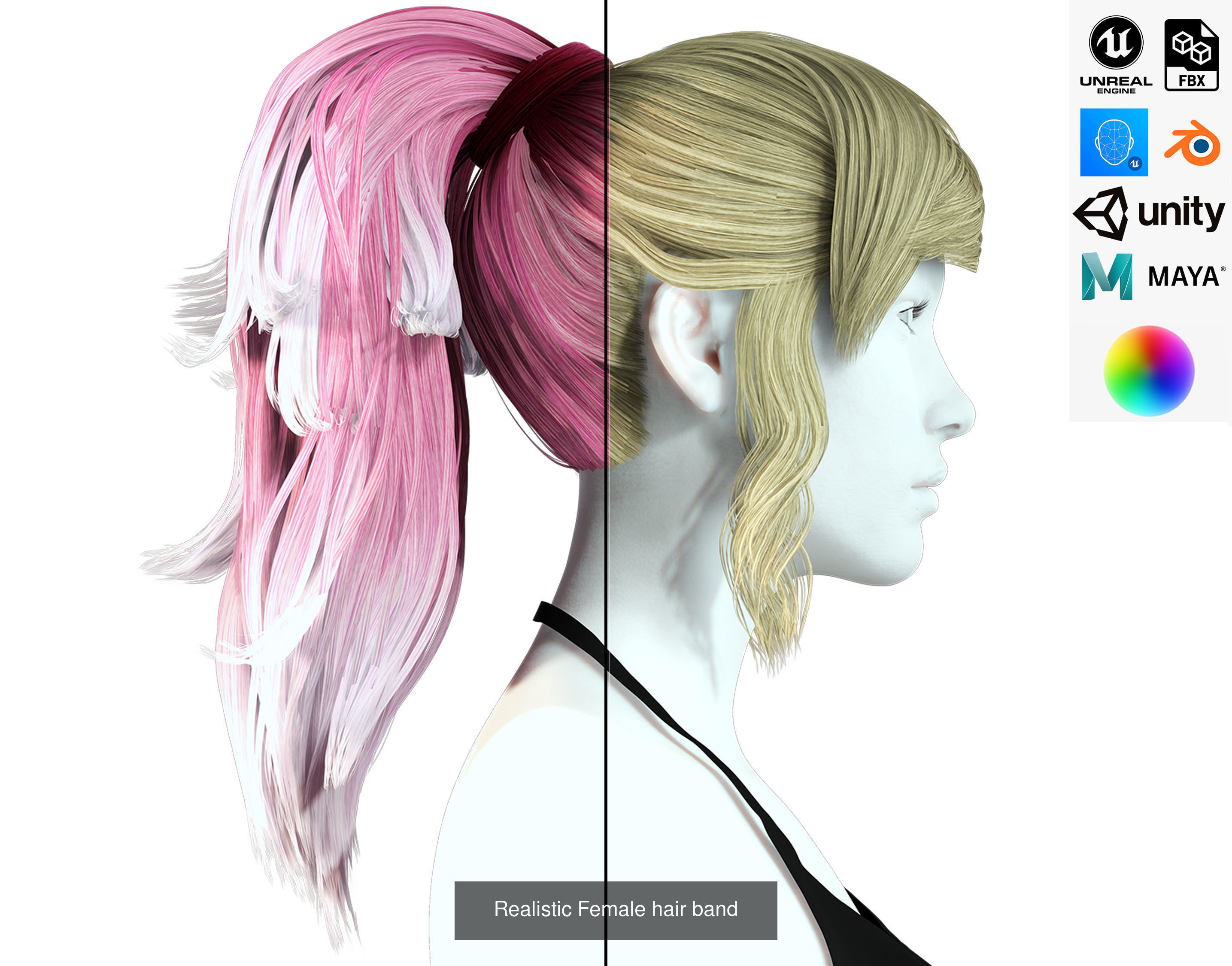 10 female hair pack hair card Pack 1 3D Model Collection_7