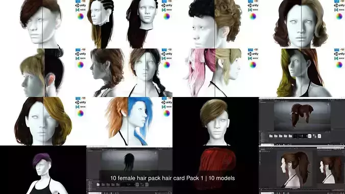 10 female hair pack hair card Pack 1 3D Model Collection