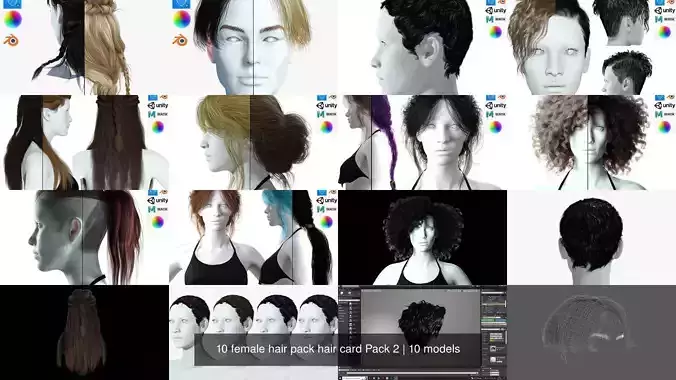 10 female hair pack hair card Pack 2 3D Model Collection