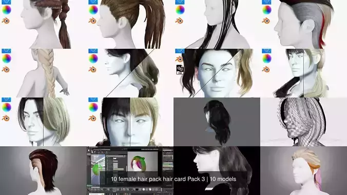 10 female hair pack hair card Pack 3 3D Model Collection