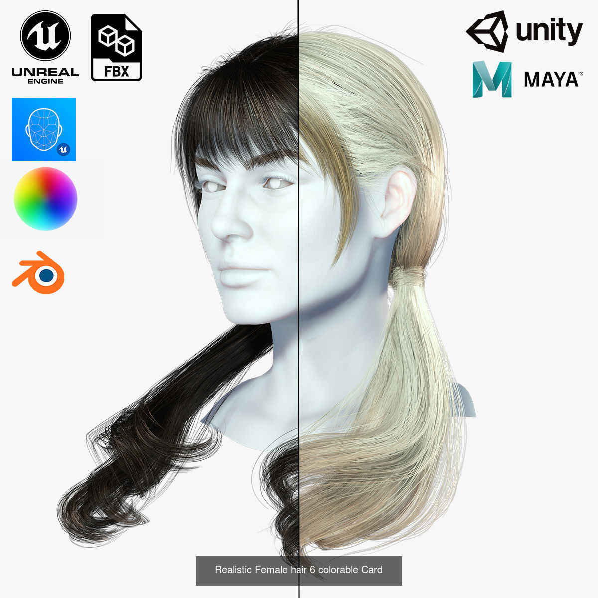 10 female hair pack hair card Pack 3 3D Model Collection_8