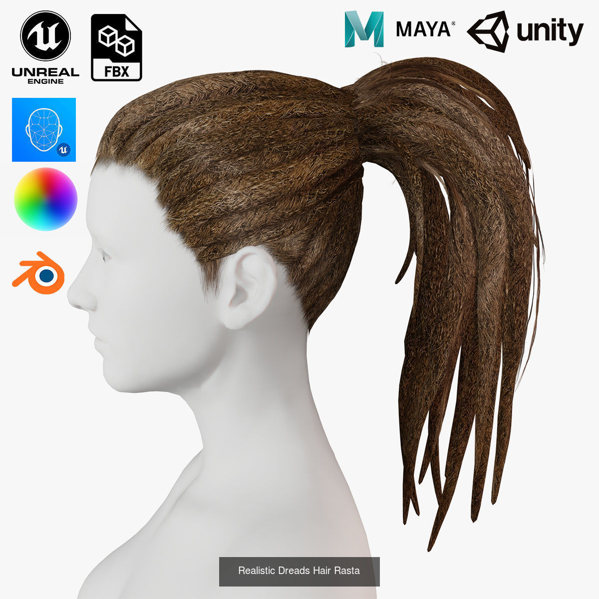 10 female hair pack hair card Pack 3 3D Model Collection_2