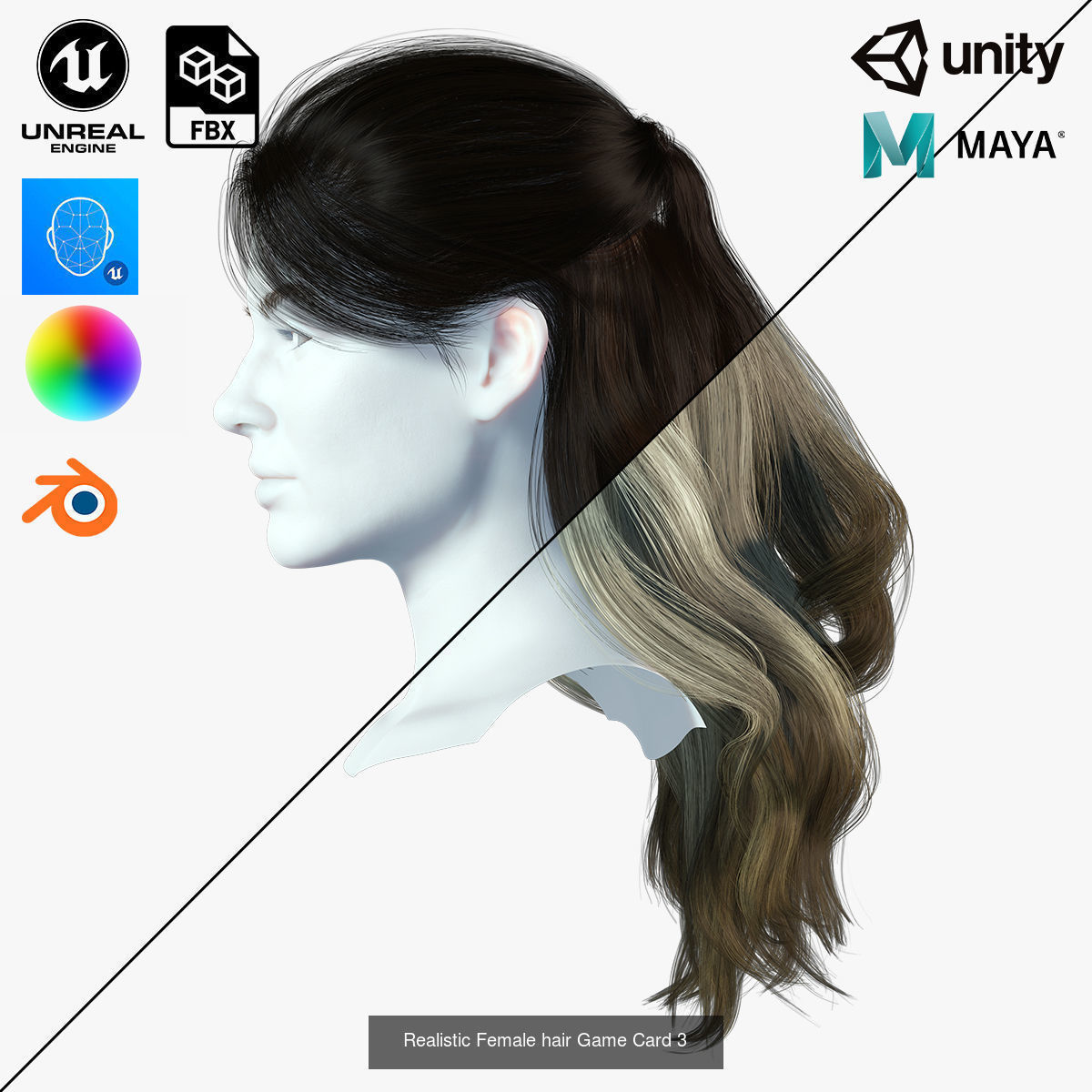 10 female hair pack hair card Pack 3 3D Model Collection_6