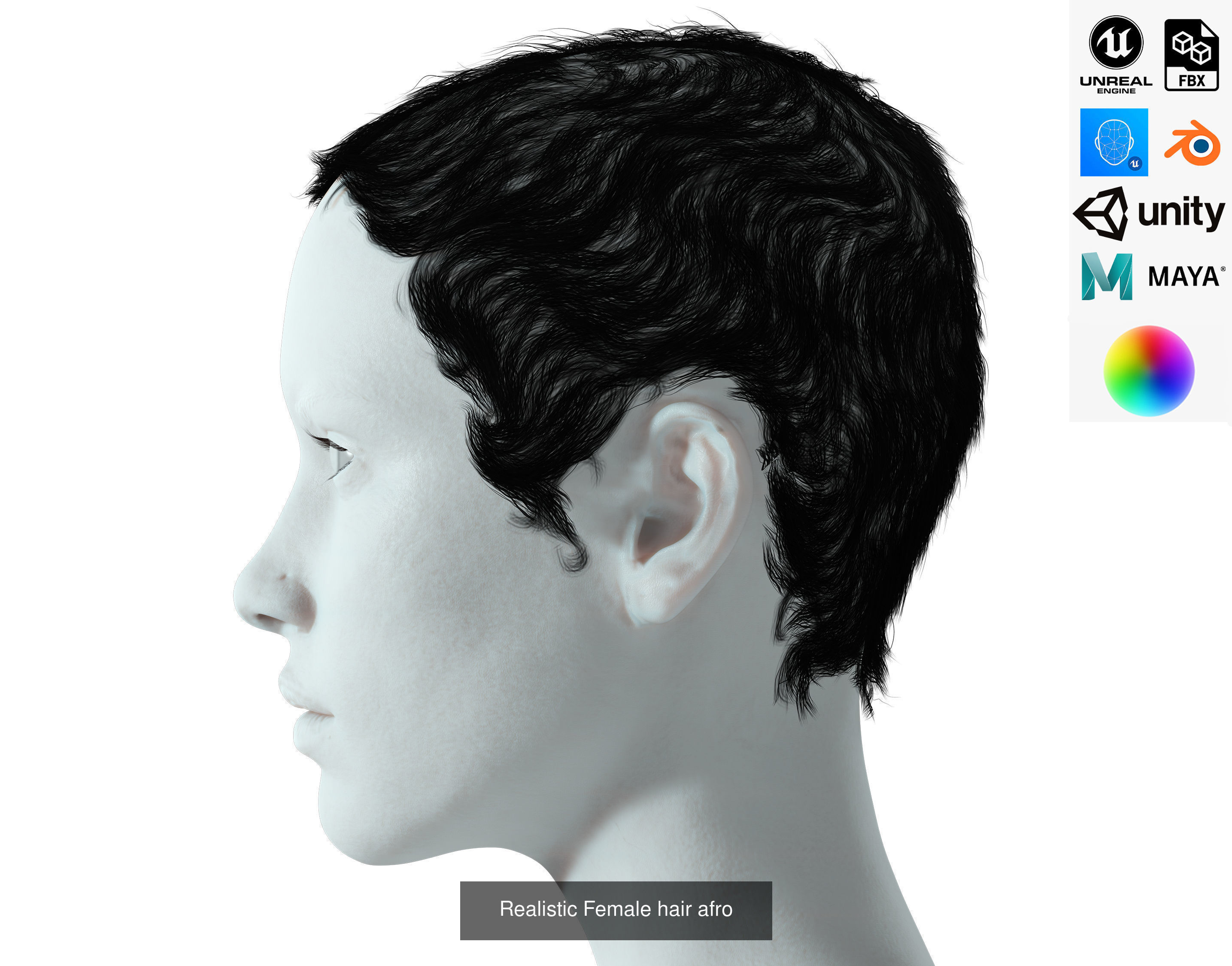 MEGA pack female hair card ready 3D Model Collection_25