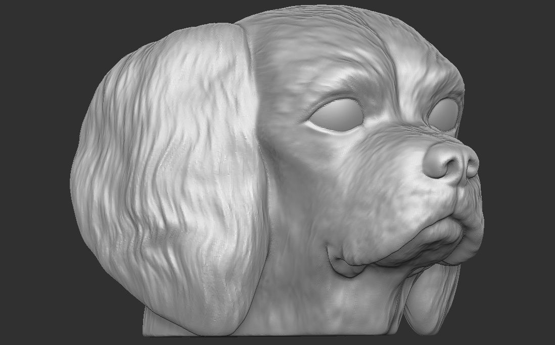 Spaniel Cavalier dog head for 3D printing 3D print model_8