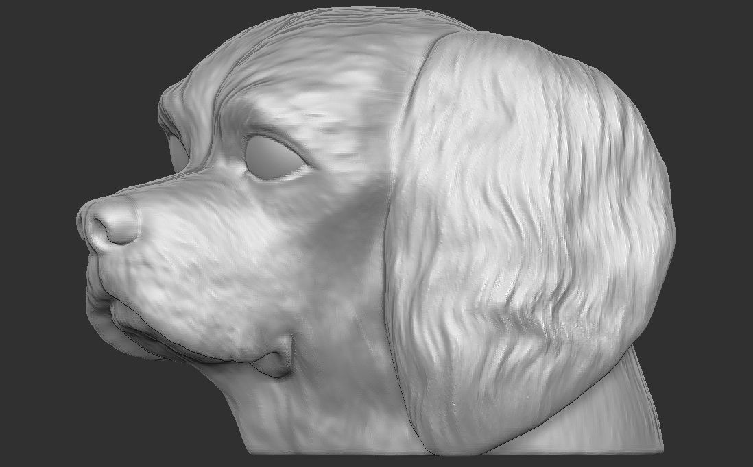 Spaniel Cavalier dog head for 3D printing 3D print model_14