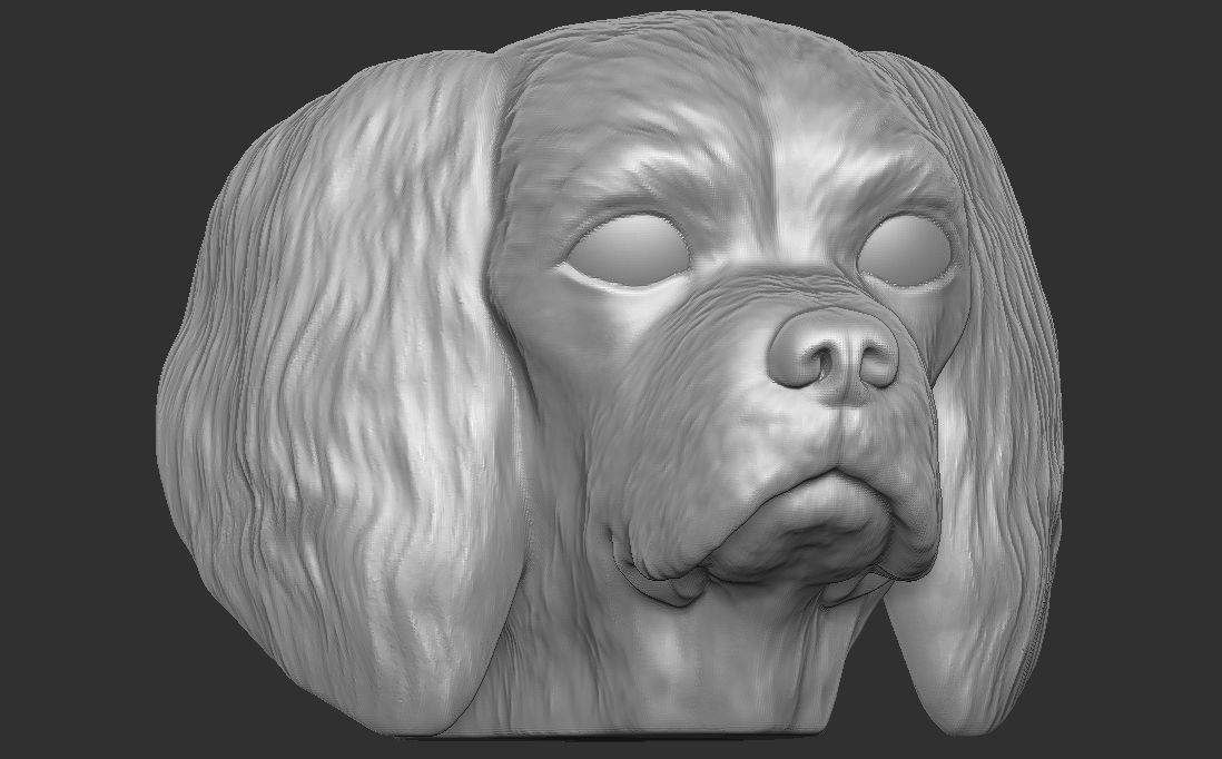 Spaniel Cavalier dog head for 3D printing 3D print model_7