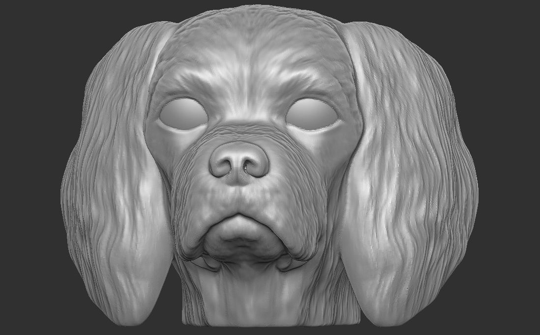 Spaniel Cavalier dog head for 3D printing 3D print model_5