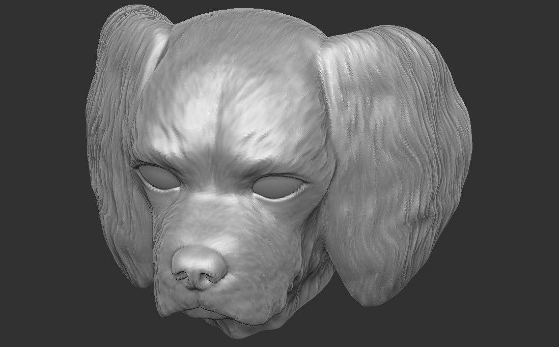 Spaniel Cavalier dog head for 3D printing 3D print model_20