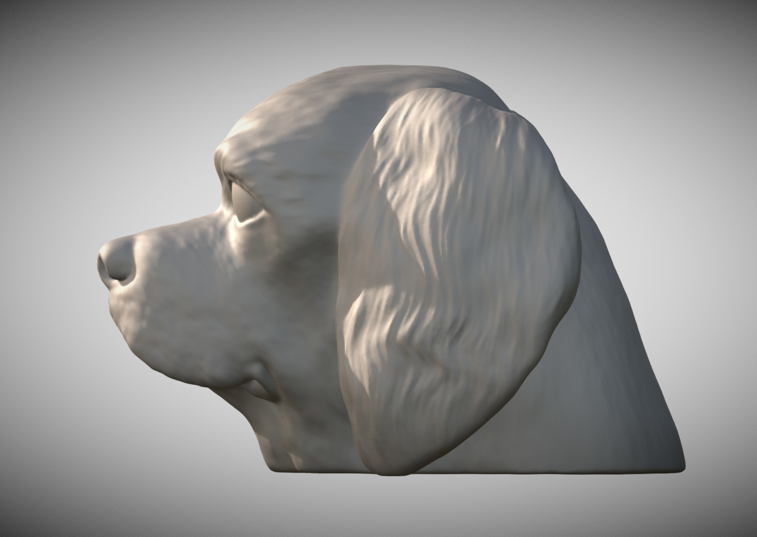 Spaniel Cavalier dog head for 3D printing 3D print model_2