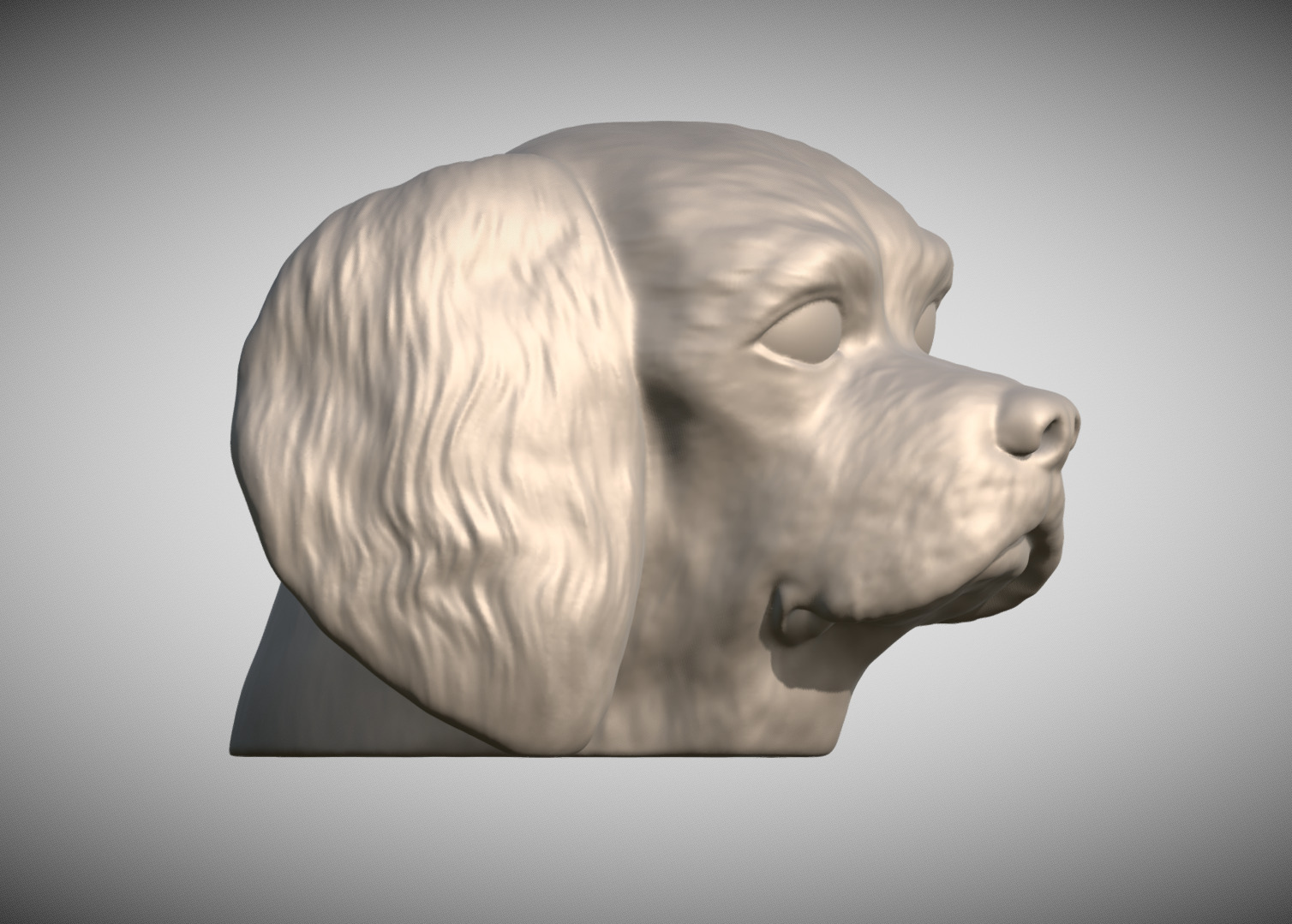 Spaniel Cavalier dog head for 3D printing 3D print model_3