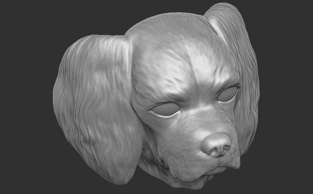 Spaniel Cavalier dog head for 3D printing 3D print model_21