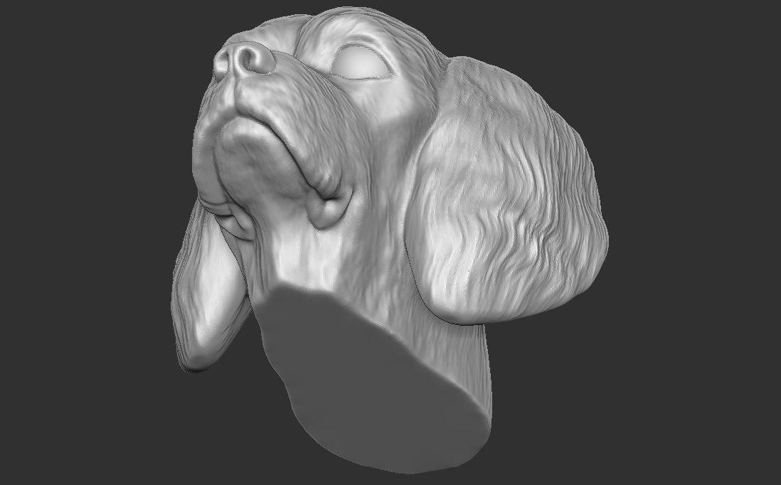 Spaniel Cavalier dog head for 3D printing 3D print model_19