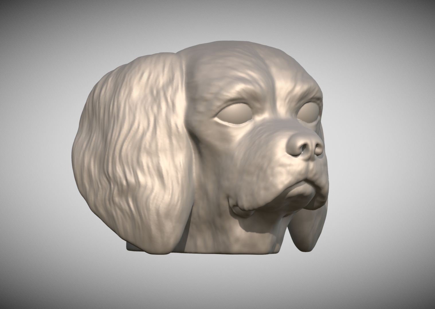 Spaniel Cavalier dog head for 3D printing 3D print model_4