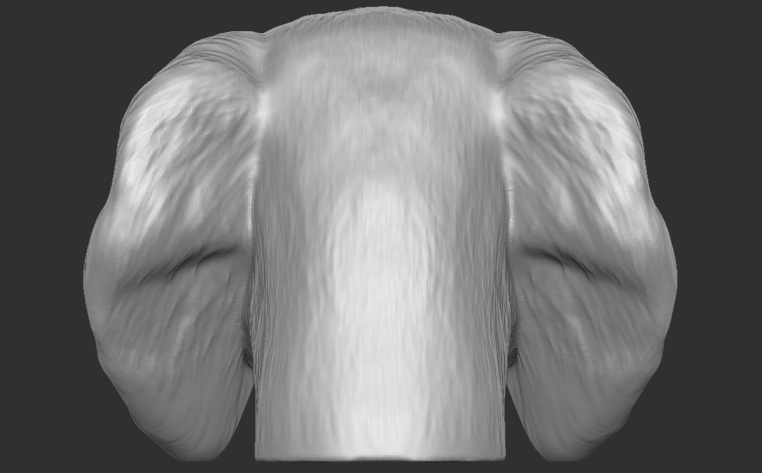 Spaniel Cavalier dog head for 3D printing 3D print model_11