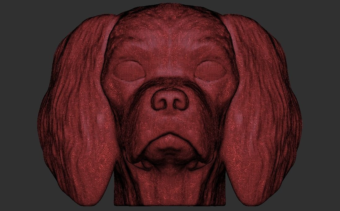 Spaniel Cavalier dog head for 3D printing 3D print model_24