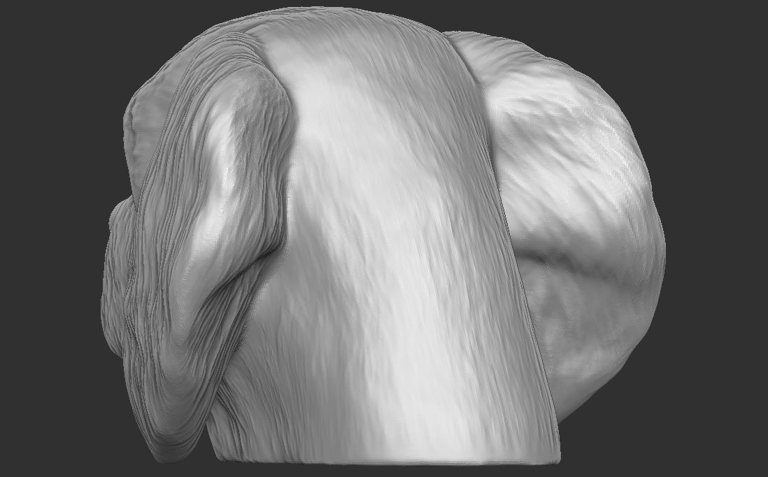 Spaniel Cavalier dog head for 3D printing 3D print model_12