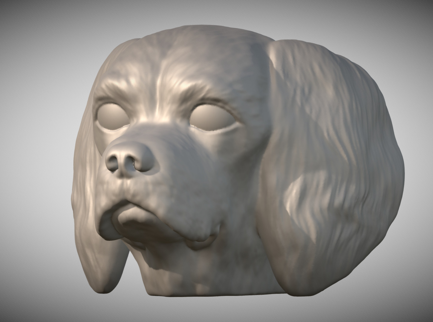 Spaniel Cavalier dog head for 3D printing 3D print model_1
