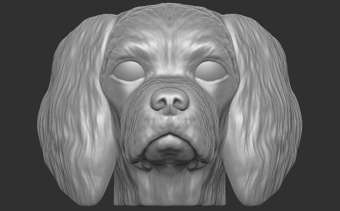 Spaniel Cavalier dog head for 3D printing 3D print model_6
