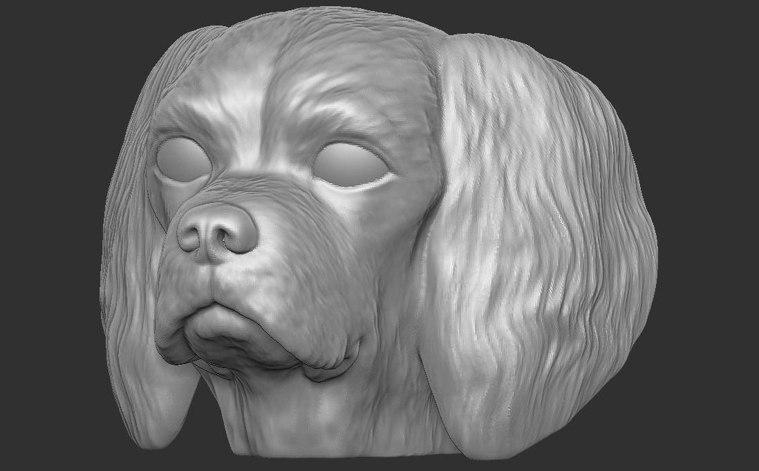 Spaniel Cavalier dog head for 3D printing 3D print model_16