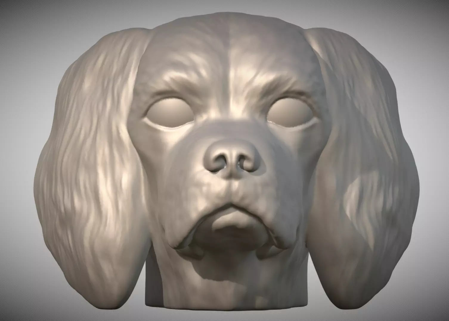 Spaniel Cavalier dog head for 3D printing 3D print model_0