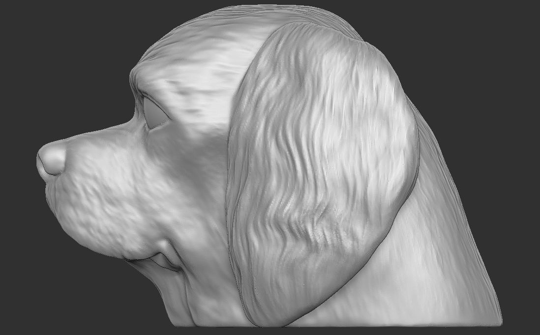 Spaniel Cavalier dog head for 3D printing 3D print model_13