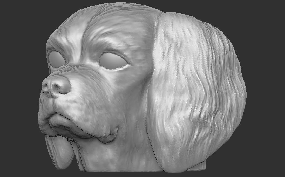 Spaniel Cavalier dog head for 3D printing 3D print model_15