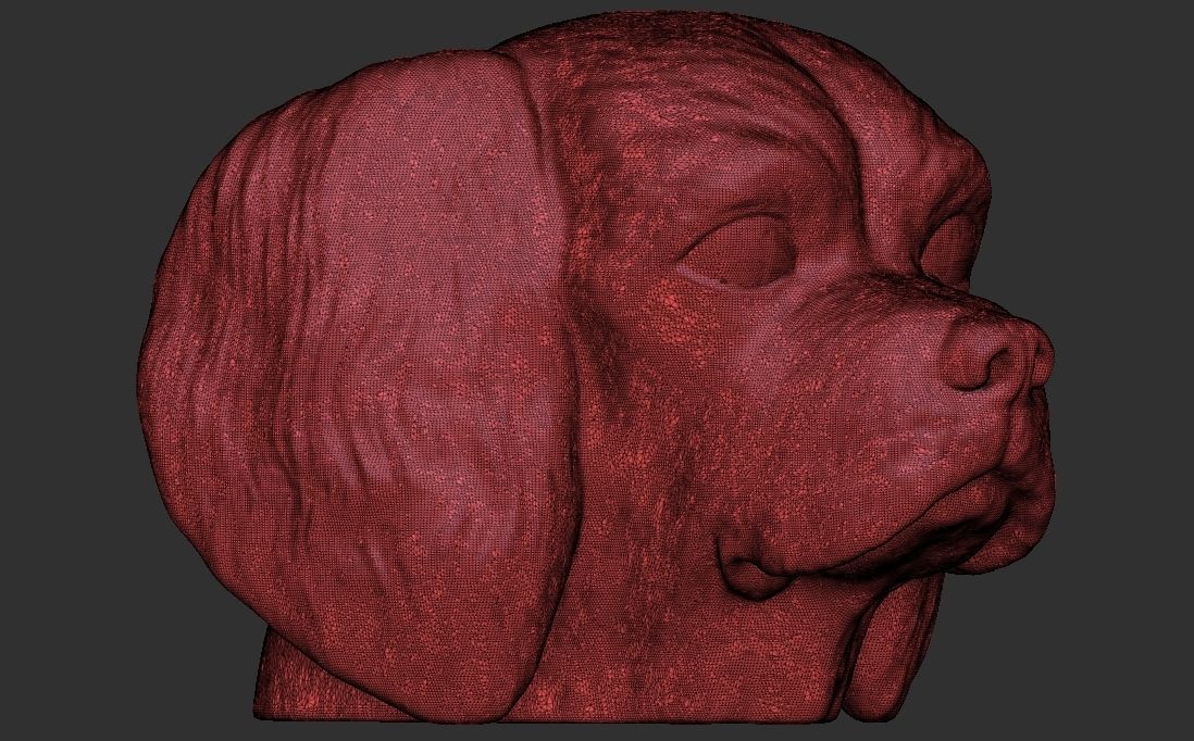 Spaniel Cavalier dog head for 3D printing 3D print model_25