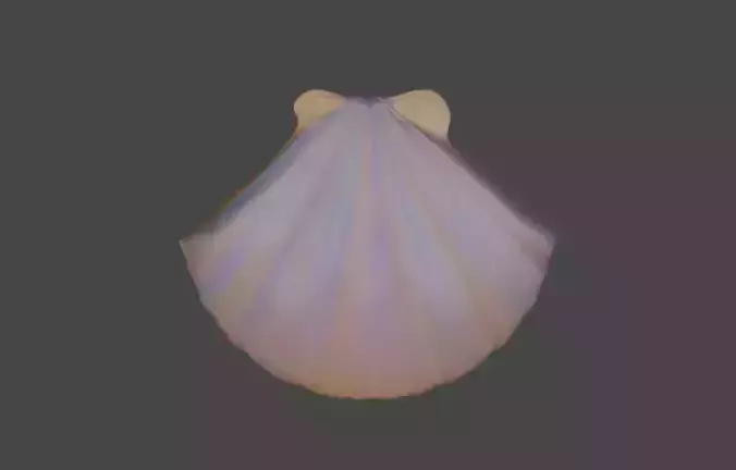 Shell