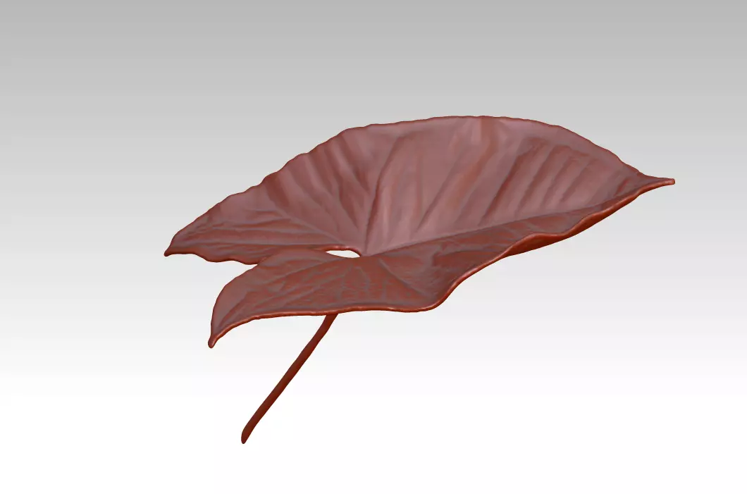 Plant leaf 3D printing STL sculpture 3D Carapace leaf ZB brush 3D print model