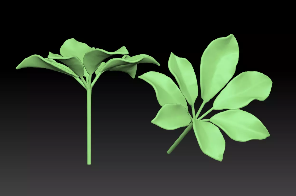 Chestnut leaf  Anthracus flower sculpture  ZB leaf brush 3D print model_0