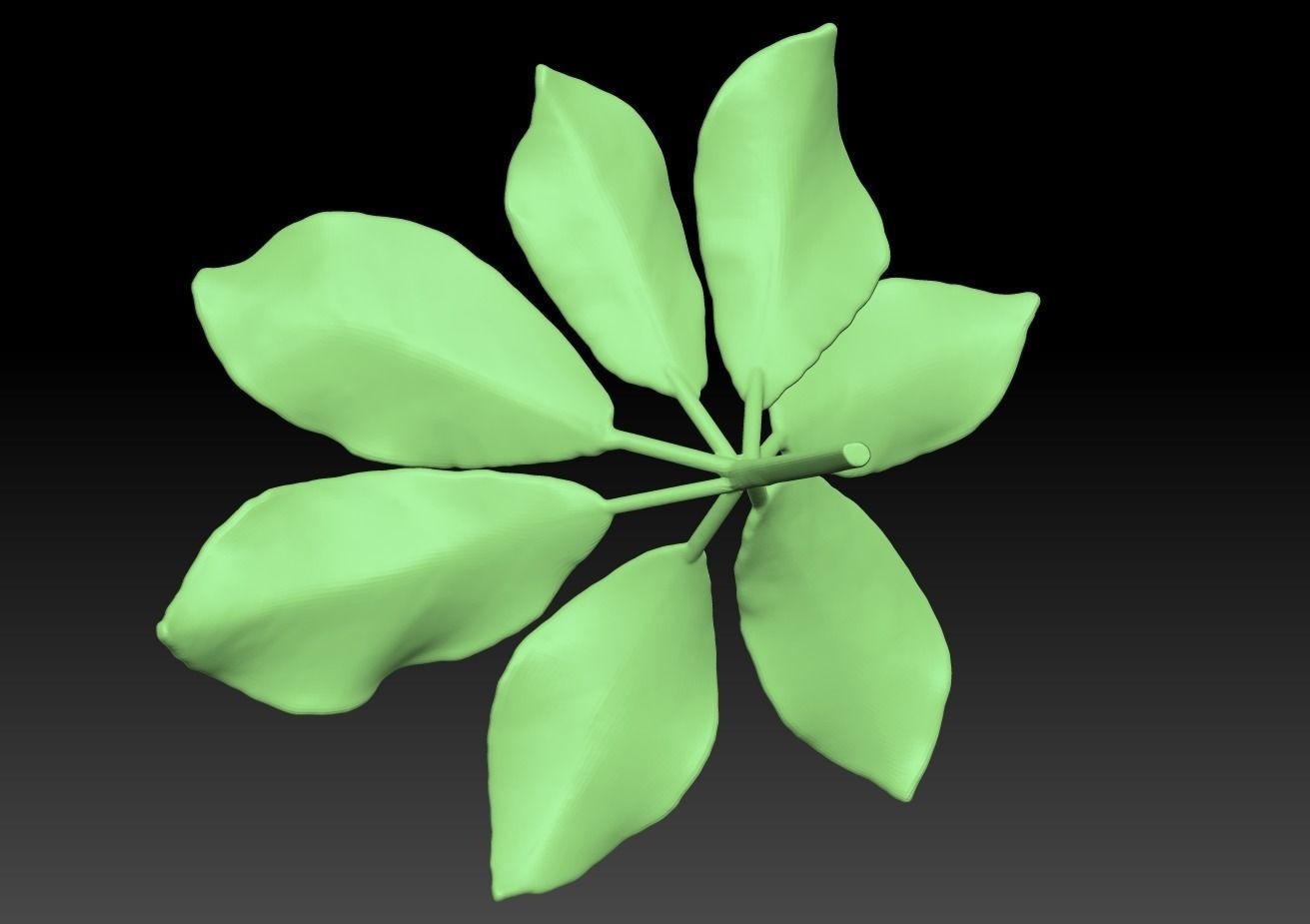 Chestnut leaf  Anthracus flower sculpture  ZB leaf brush 3D print model_4
