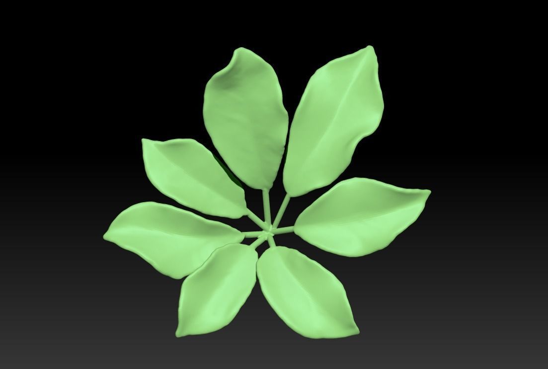 Chestnut leaf  Anthracus flower sculpture  ZB leaf brush 3D print model_2