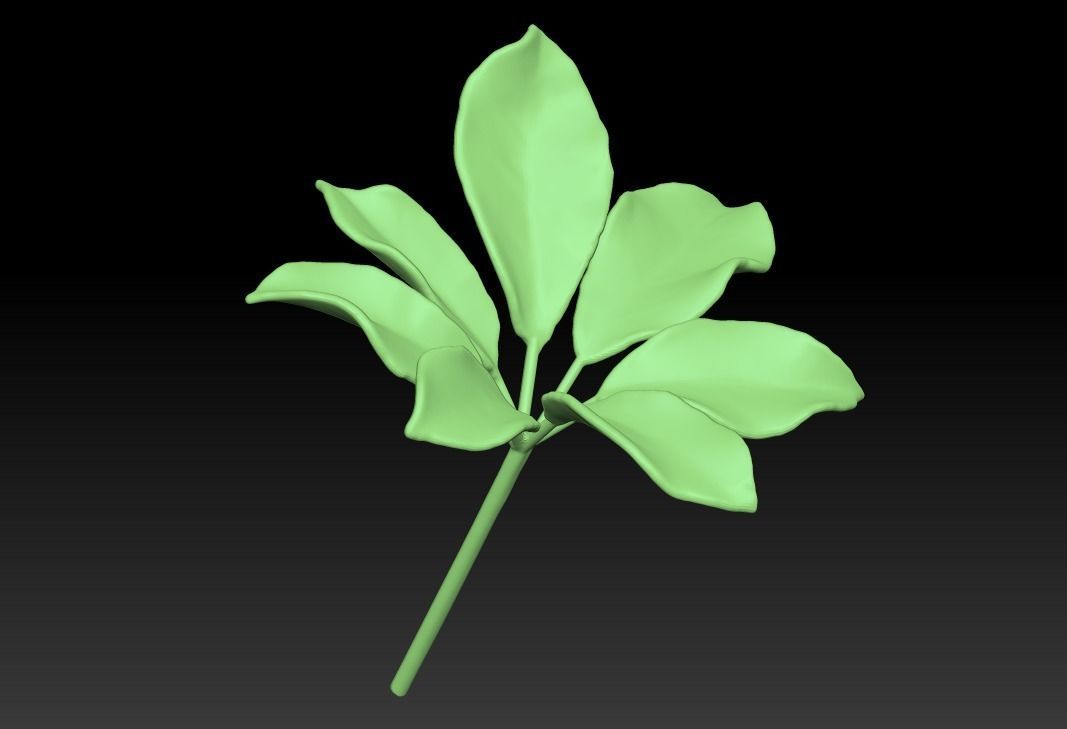 Chestnut leaf  Anthracus flower sculpture  ZB leaf brush 3D print model_1